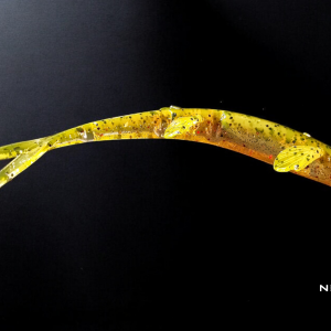 Zander V2 Junior 6" (15cm) - #106 Green + Chartreuse UV