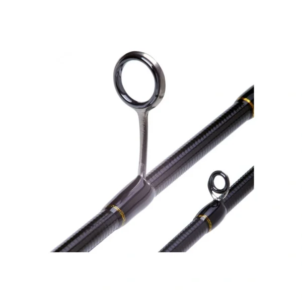 Crazy Fish Arion 2025