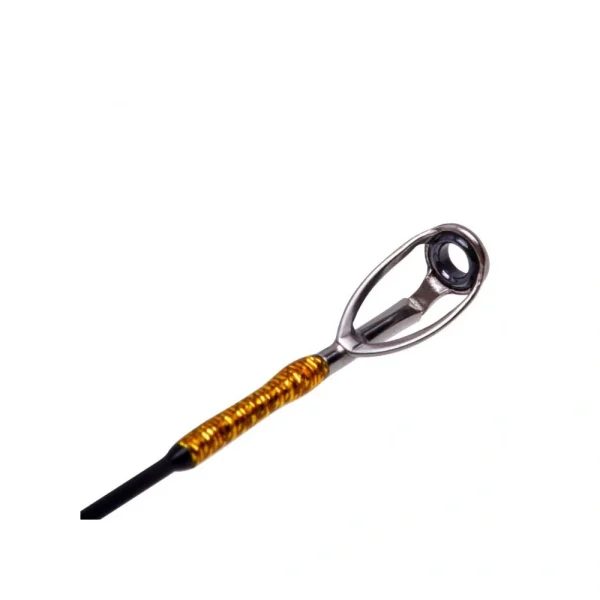 Crazy Fish Arion 2025